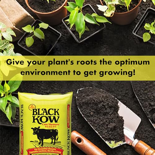 Black Kow Nitrogen Phosphate Composted Cow Manure Fertilizer for Soil, Flowers, Potted Plants, Raised Beds, and Compost Tea, 4 Pounds