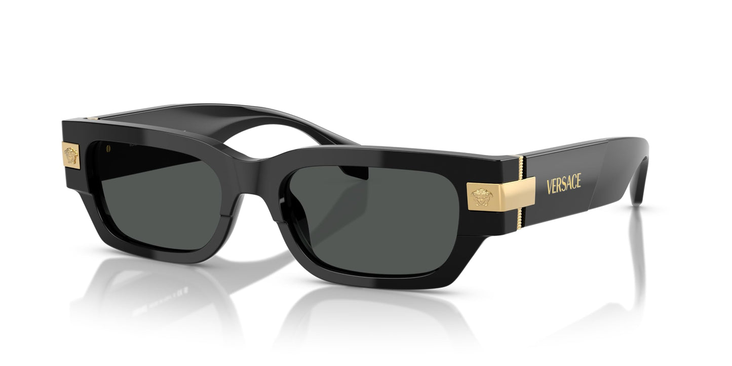 Versace Man Sunglasses Black Frame, Dark Grey Lenses, 53MM