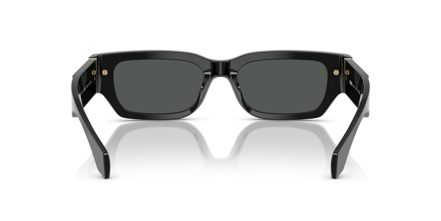 Versace Man Sunglasses Black Frame, Dark Grey Lenses, 53MM