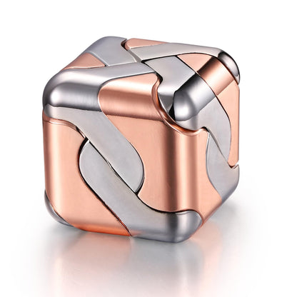 Metal Puzzle 3D Cube Brain Teaser for Kids and Adults