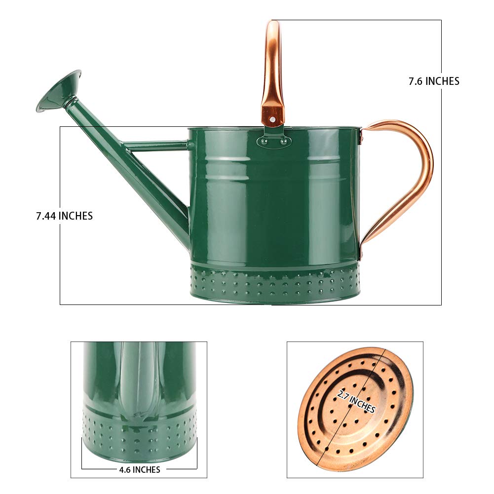 Megawodar 1 Gallon Metal Watering Can with Removable Spout, Nice Galvanized Steel Water Can with Embossed Design for Indoor and Outdoor Plants