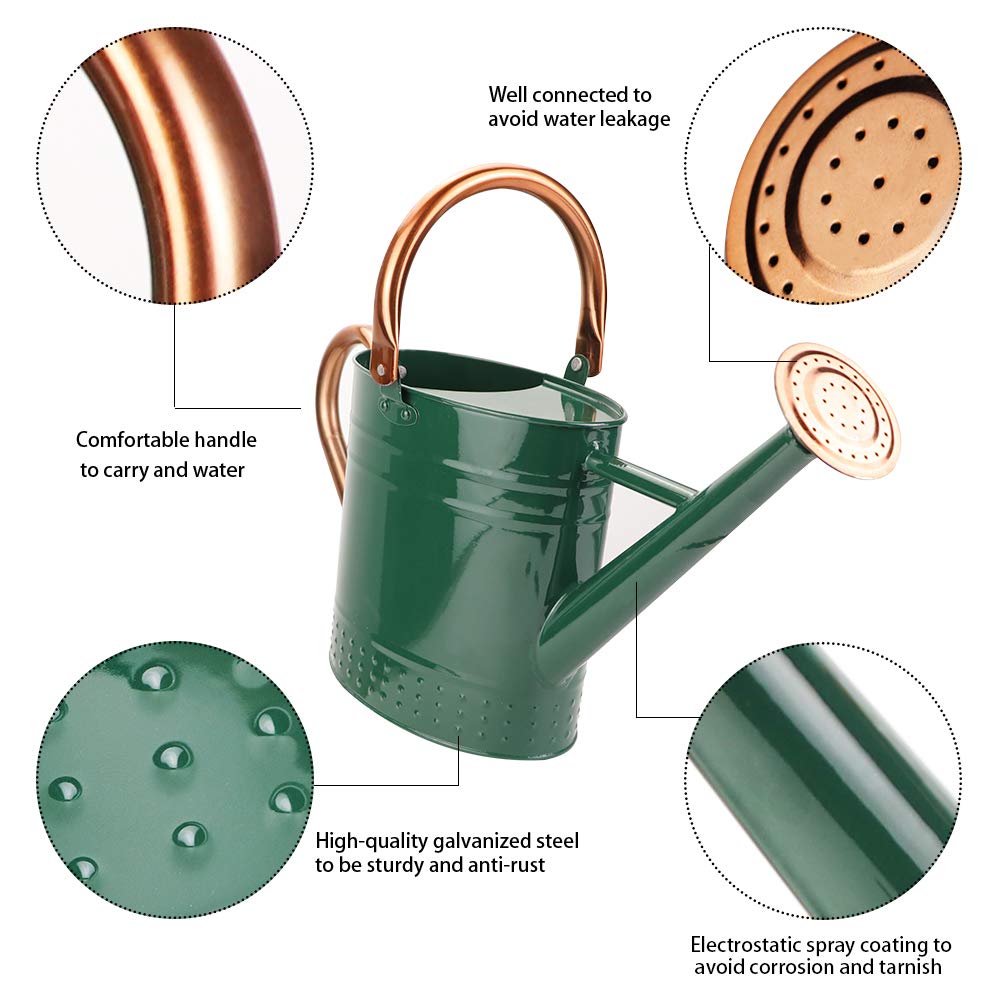 Megawodar 1 Gallon Metal Watering Can with Removable Spout, Nice Galvanized Steel Water Can with Embossed Design for Indoor and Outdoor Plants