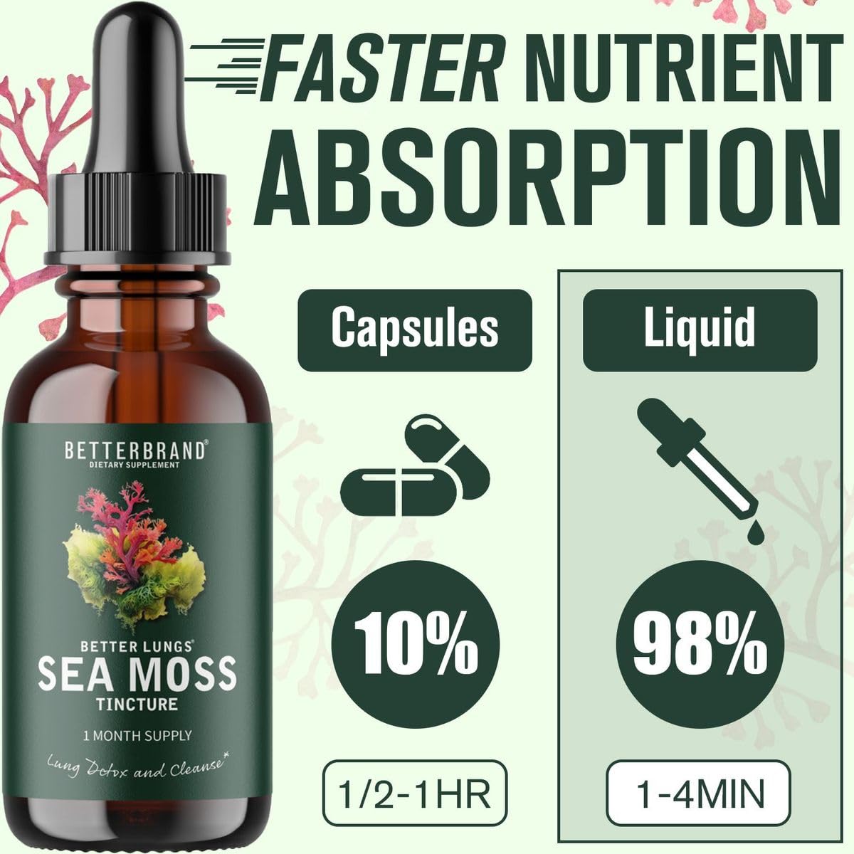 Betterbrand BetterLungs Sea Moss Tincture Drops - Powerful Absorption for Lung Health, Digestive, Joint & Thyroid Support - Irish Sea Moss, Spirulina, Bladderwrack & Burdock Root (30 Day Supply)