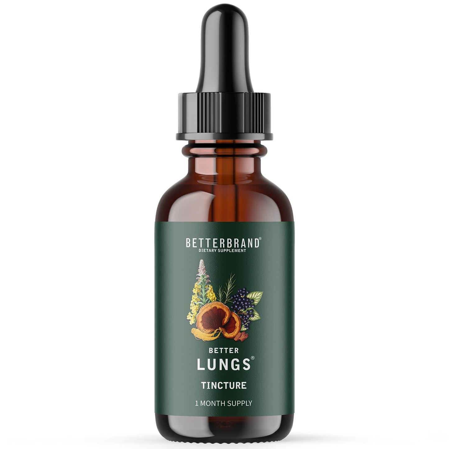 Betterbrand BetterLungs Tincture - Daily Respiratory Health Supplement | Mullein Leaf, Elderberry, Ginseng and Reishi Mushroom | Lung Health Wellness | 30 Day Supply