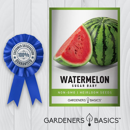 Gardeners Basics, Watermelon Seeds for Planting - Sugar Baby Heirloom Variety, Non-GMO Fruit Seed - 2 Grams of Seeds Great for Outdoor Garden