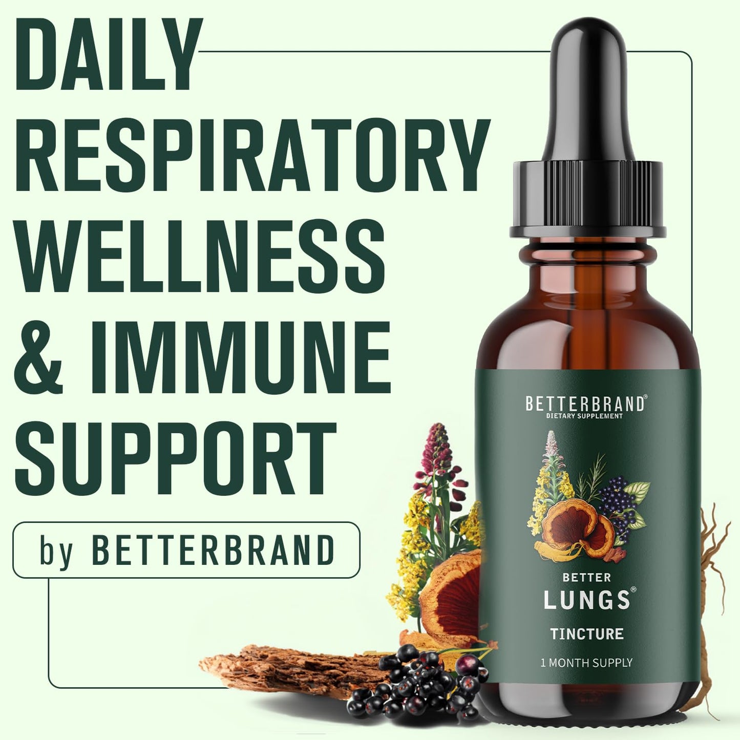 Betterbrand BetterLungs Tincture - Daily Respiratory Health Supplement | Mullein Leaf, Elderberry, Ginseng and Reishi Mushroom | Lung Health Wellness | 30 Day Supply