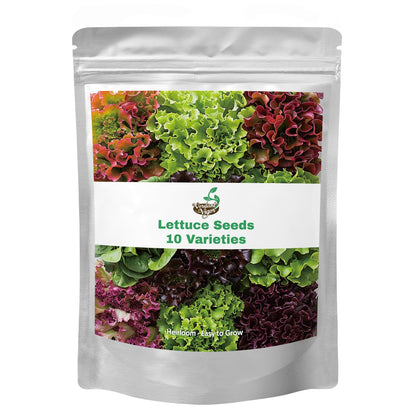 20,000+ Lettuce Seeds, Heirloom Vegetable Seed for Planting Indoor Outdoor, 10 Varieties Fresh Lettuce Salad Seeds Garden Hydroponics Kit - Romaine, Iceberg, Boston, Bibb and More, Non-GMO