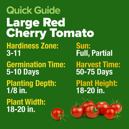 HOME GROWN Large Red Cherry Tomato Seeds Pack -500 Non-GMO Heirloom Tomato Seeds for Planting (Solanum lycopersicum) Vegetable Seeds for Homesteading, Sustainable Living, and Self-Sufficient Gardening