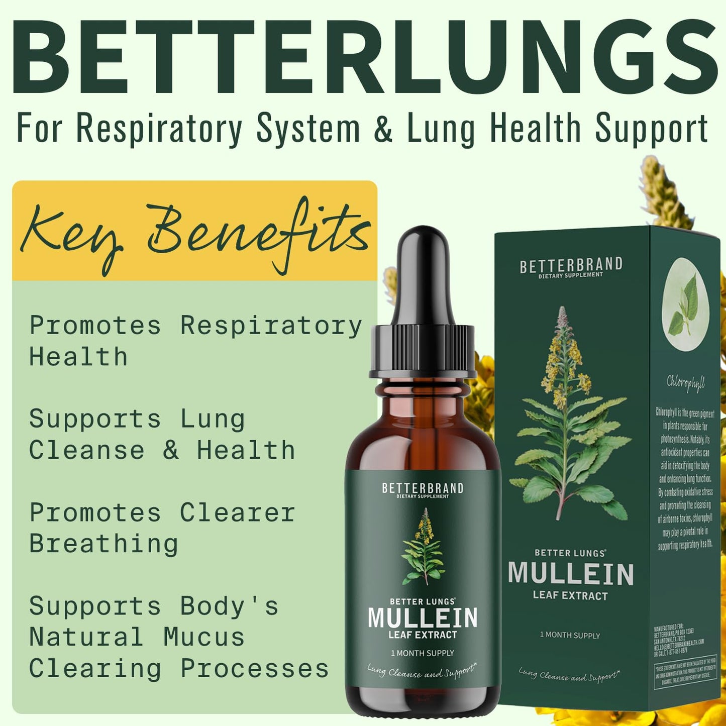 Betterbrand BetterLungs Mullein Leaf Extract - Support Lung Cleanse & Respiratory Function for Healthy Breathing - Natural Supplement, Tincture Drops | Non-GMO, Vegetarian | 1 Month Supply