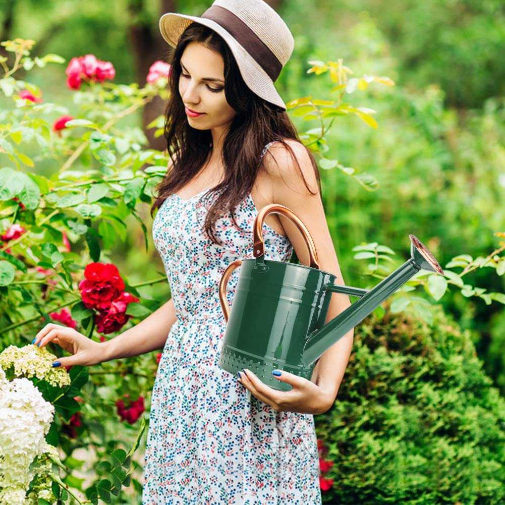 Megawodar 1 Gallon Metal Watering Can with Removable Spout, Nice Galvanized Steel Water Can with Embossed Design for Indoor and Outdoor Plants