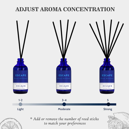 Xcleen Reed Diffusers Set, 3.7 Oz Scent Diffuser, 6 Reed Diffuser Sticks, Home Fragrance Hyacinth, Peony & Citrus, Aromatherapy Oil Diffuser Reeds, More Masculine Scent, Bathroom & Office Decor 110ml