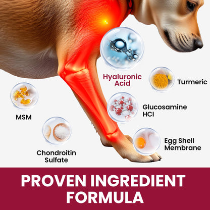 Glucosamine for Dogs Hip and Joint Supplement Chews, Chondroitin Joint Supplement for Dogs, Wuffe Joint Chews for Dogs, Dog Joint Supplement for Pain Relief with MSM, Turmeric - Chicken Flavor- 180 Ct