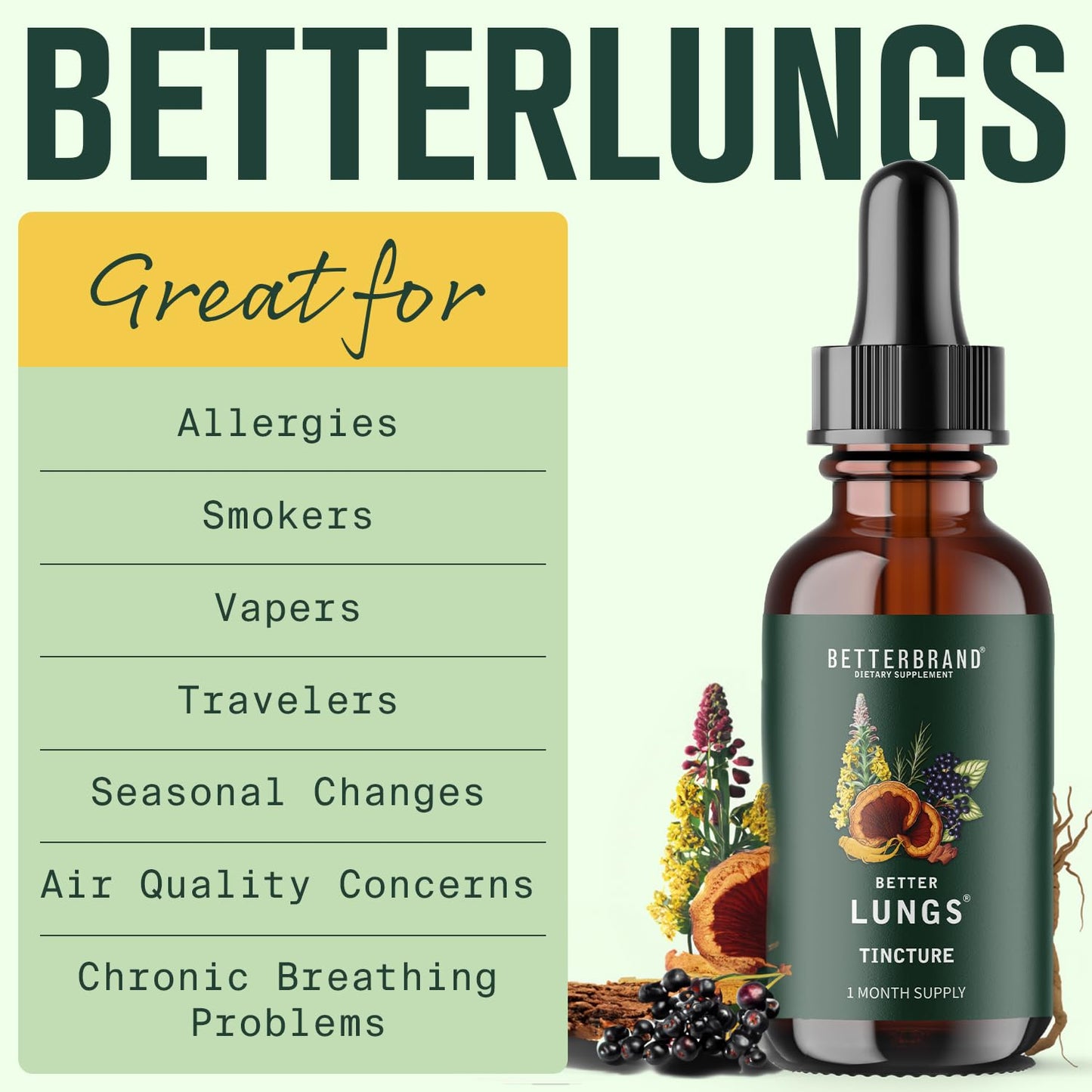 Betterbrand BetterLungs Tincture - Daily Respiratory Health Supplement | Mullein Leaf, Elderberry, Ginseng and Reishi Mushroom | Lung Health Wellness | 30 Day Supply