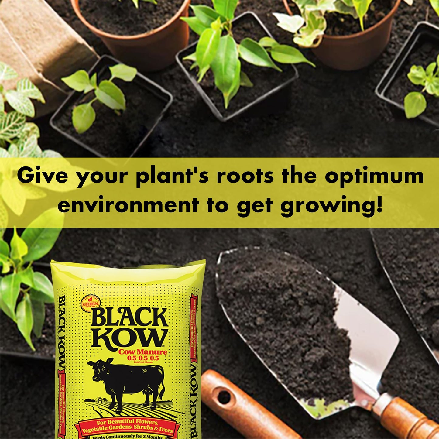 Black Kow Nitrogen Phosphate Composted Cow Manure Fertilizer for Soil, Flowers, Potted Plants, Raised Beds, and Compost Tea, 4 Pounds