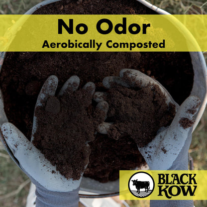 Black Kow Nitrogen Phosphate Composted Cow Manure Fertilizer for Soil, Flowers, Potted Plants, Raised Beds, and Compost Tea, 4 Pounds