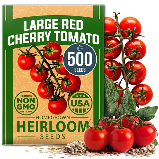 HOME GROWN Large Red Cherry Tomato Seeds Pack -500 Non-GMO Heirloom Tomato Seeds for Planting (Solanum lycopersicum) Vegetable Seeds for Homesteading, Sustainable Living, and Self-Sufficient Gardening