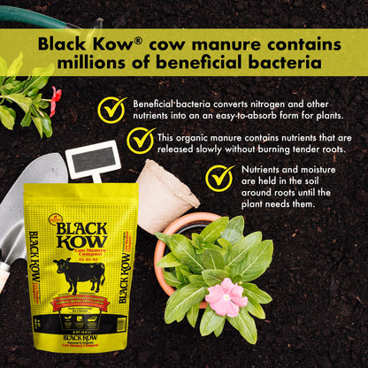 Black Kow Nitrogen Phosphate Composted Cow Manure Fertilizer for Soil, Flowers, Potted Plants, Raised Beds, and Compost Tea, 4 Pounds