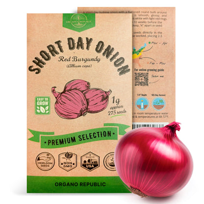 Organo Republic Onion Red Burgundy Seeds Pack 1G - Over 275 Non-GMO Heirloom Onion Seeds for Planting Vegetables in Individual Seed Packet, Vegetable Seeds for Planting Home Garden Indoor & Outdoor